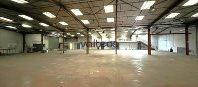 REXIM - Local d'activités - Haute-Garonne - Plaisance-du-Touch - 9