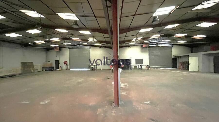 REXIM - Local d'activités - Haute-Garonne - Plaisance-du-Touch - 10