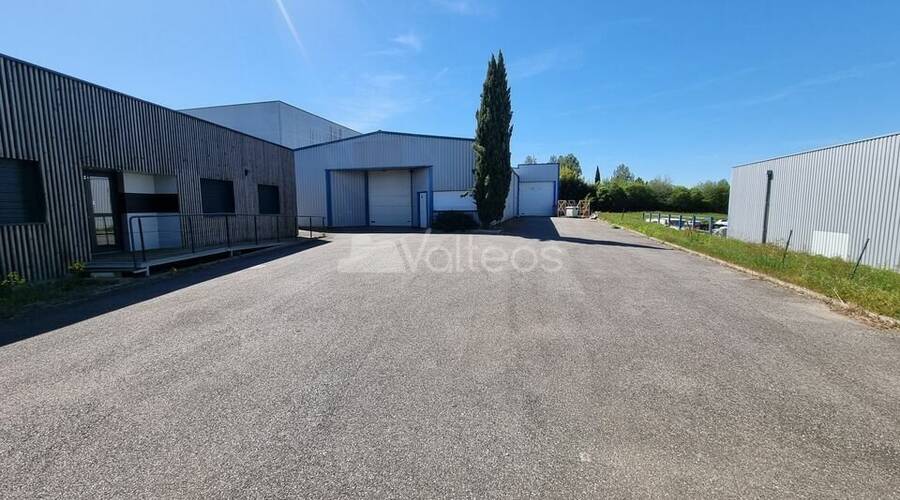 REXIM - Local d'activités - Haute-Garonne - Mondouzil - 1
