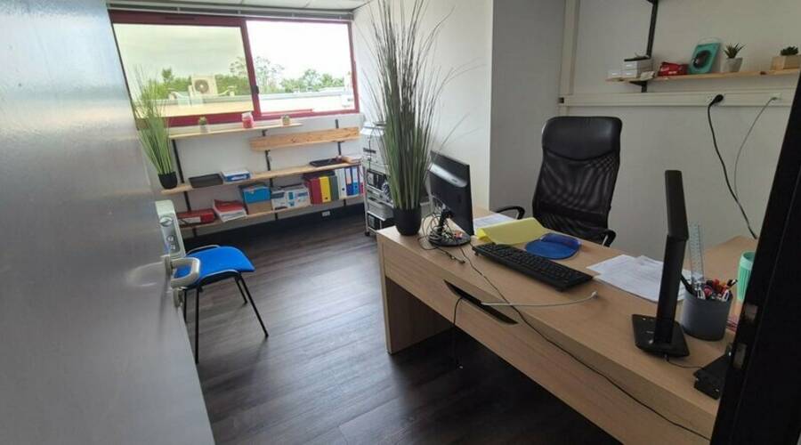 REXIM - Local d'activités - Haute-Garonne - Toulouse - 3