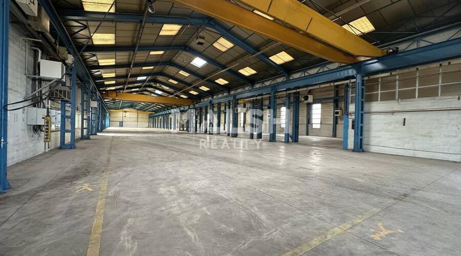 REXIM - Local d'activités - Ain - Jassans-Riottier - 4