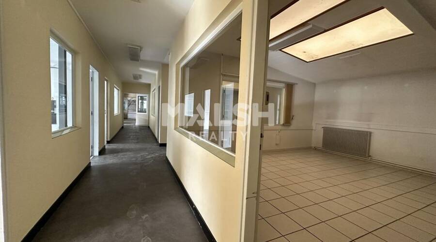 REXIM - Local d'activités - Ain - Jassans-Riottier - 8