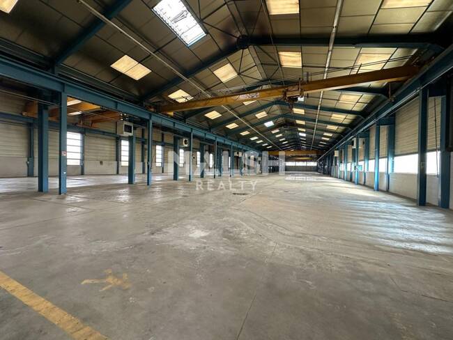 REXIM - Local d'activités - Ain - Jassans-Riottier - 1