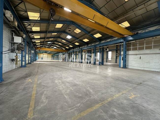 REXIM - Local d'activités - Ain - Jassans-Riottier - 1