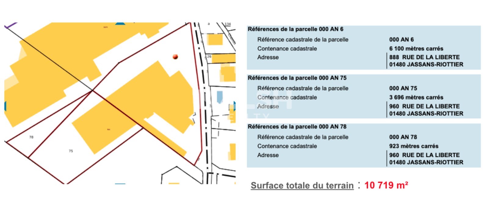 REXIM - Local d'activités - Ain - Jassans-Riottier - 12