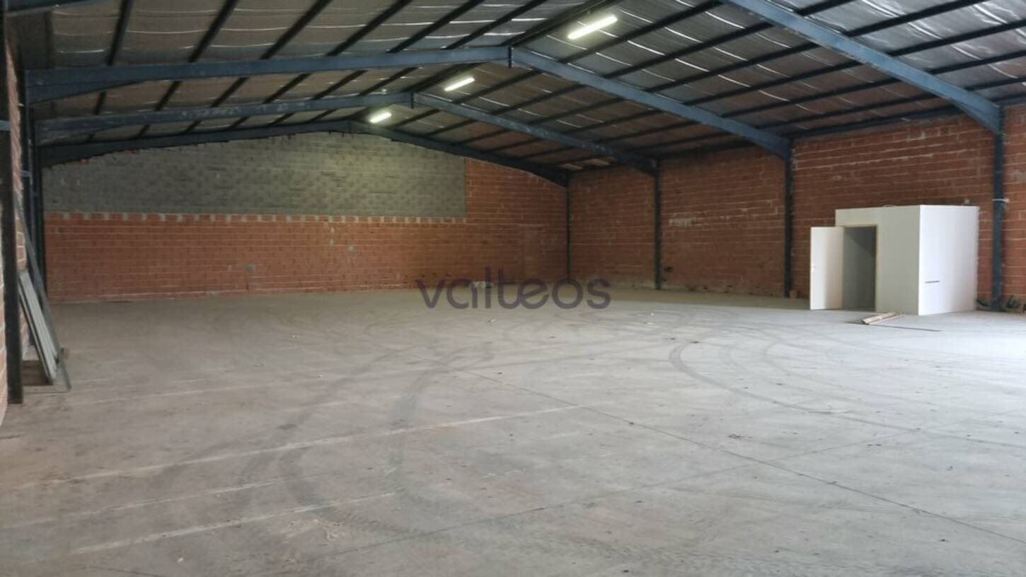 REXIM - Local d'activités - Haute-Garonne - Beauzelle - 2