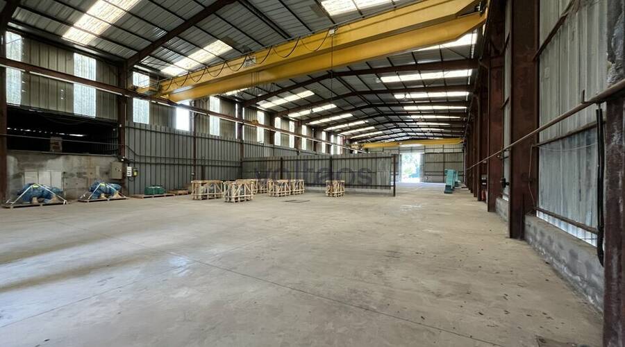 REXIM - Local d'activités - Haute-Garonne - Escalquens - 3