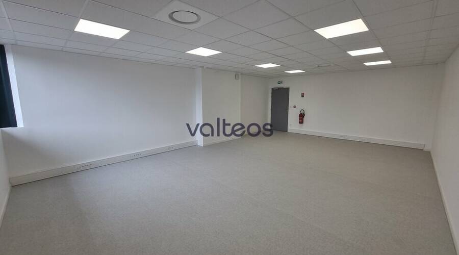 REXIM - Local d'activités - Haute-Garonne - Toulouse - 3