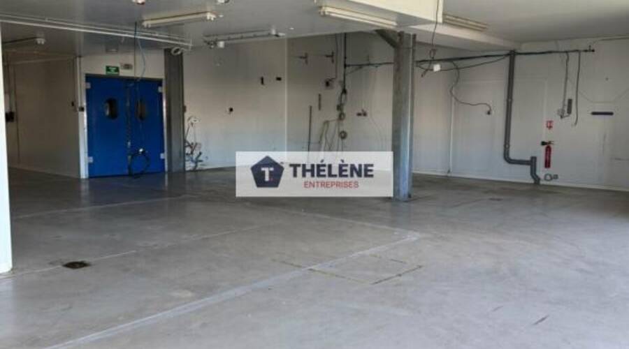 REXIM - Local d'activités - Hérault - Frontignan - 3