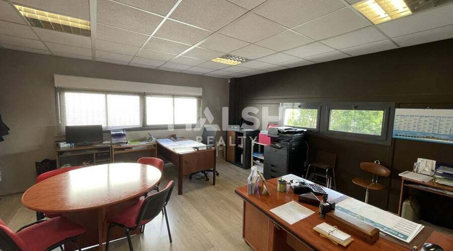 REXIM - Local d'activités - Rhône - Lozanne - 11