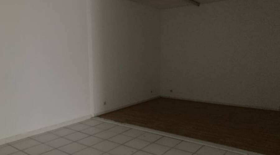 REXIM - Local d'activités - Pyrénées-Orientales - Argelès-sur-Mer - 4