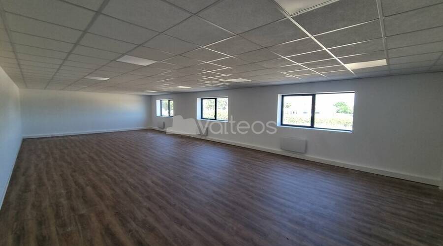 REXIM - Local d'activités - Haute-Garonne - Bruguières - 4