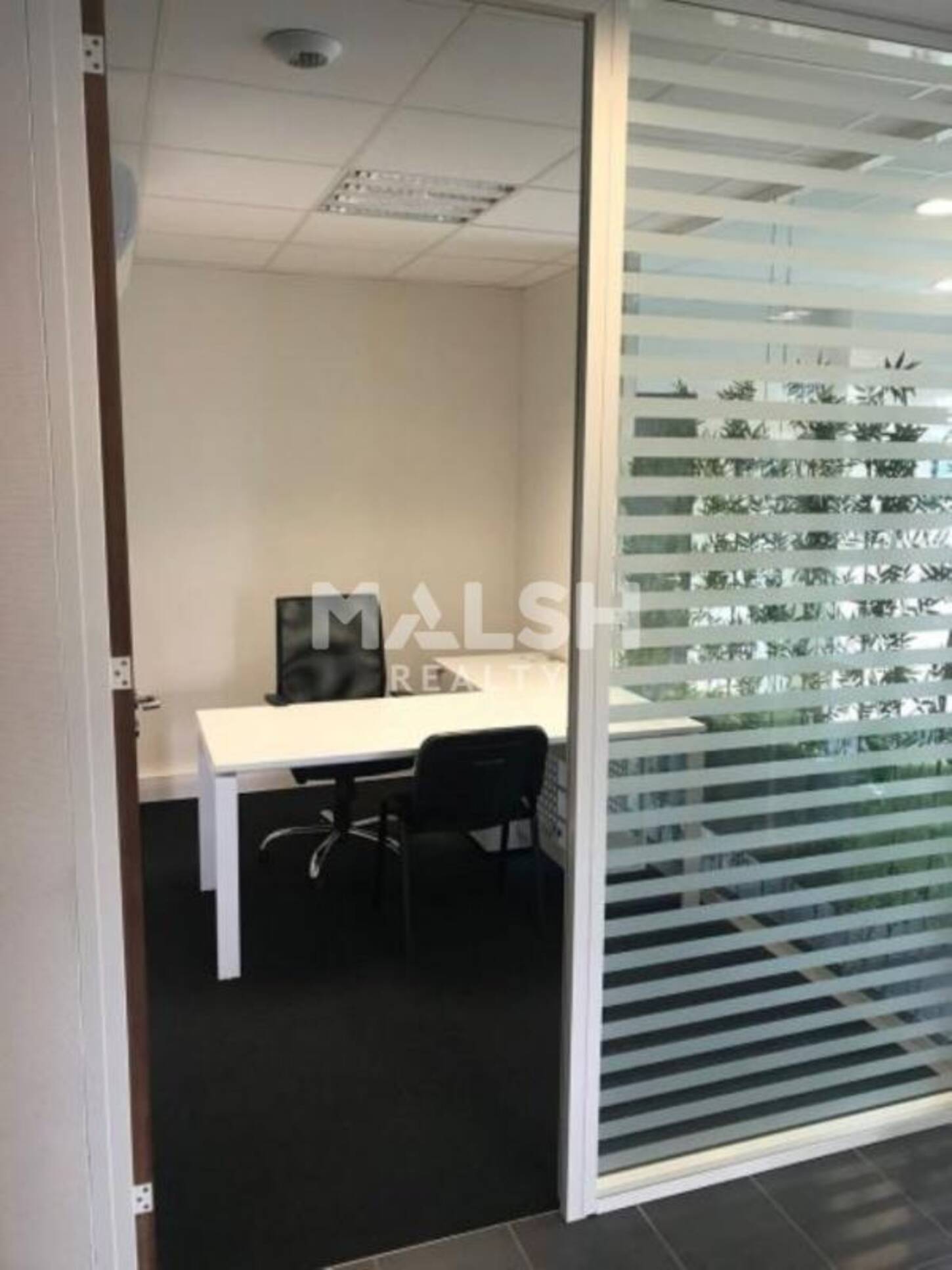 REXIM - Local d'activités - Rhône - Vaulx-en-Velin - 2