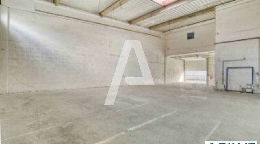 REXIM - Local d'activités - Vitry-sur-Seine - 5