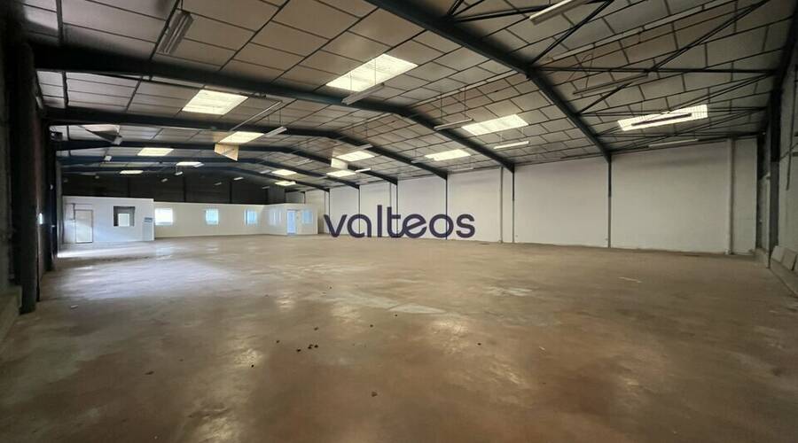 REXIM - Local d'activités - Haute-Garonne - Toulouse - 2