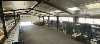 REXIM - Local d'activités - Haute-Garonne - Cugnaux - 2