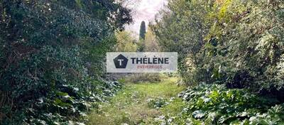 REXIM - Autres - Hérault - Montpellier - 4