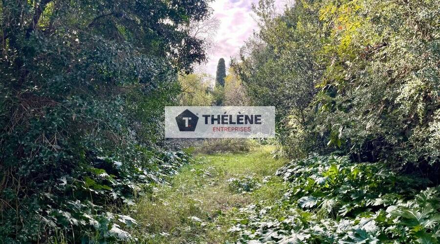 REXIM - Autres - Hérault - Montpellier - 4