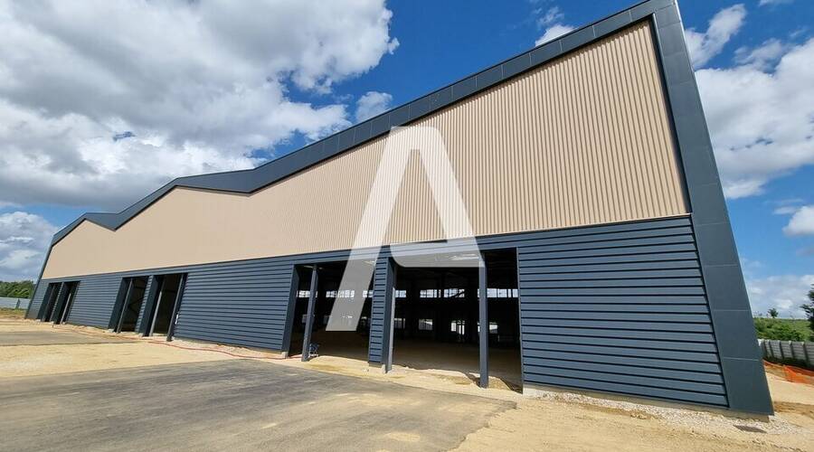 REXIM - Entrepôt - Moissy-Cramayel - 5