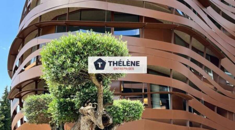 REXIM - Bureau - Hérault - Montpellier - 3