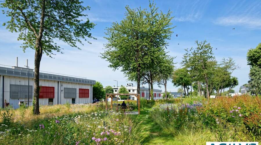 REXIM - Entrepôt - Villebon-sur-Yvette - 4