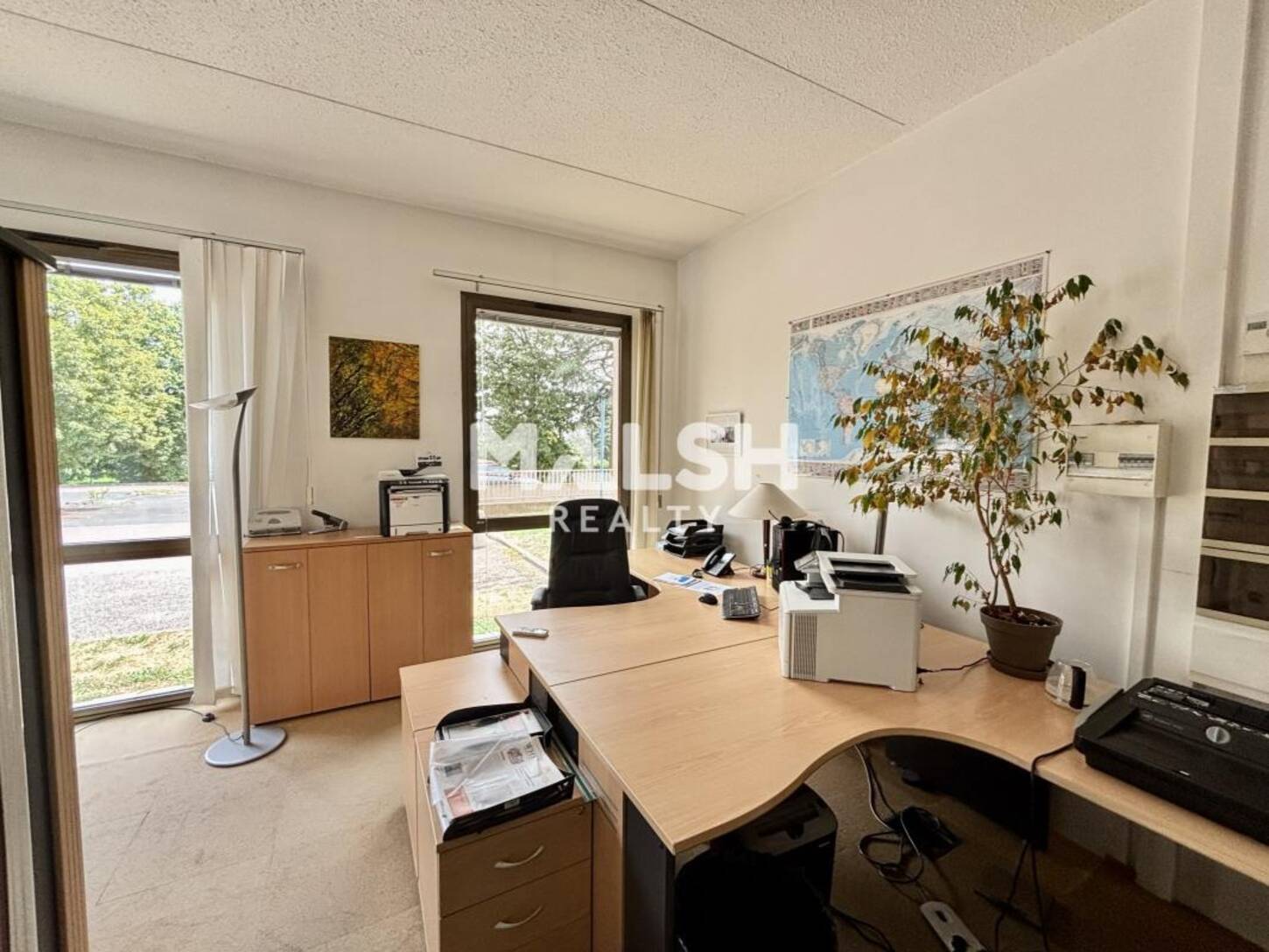 REXIM - Bureau - Rhône - Écully - 2