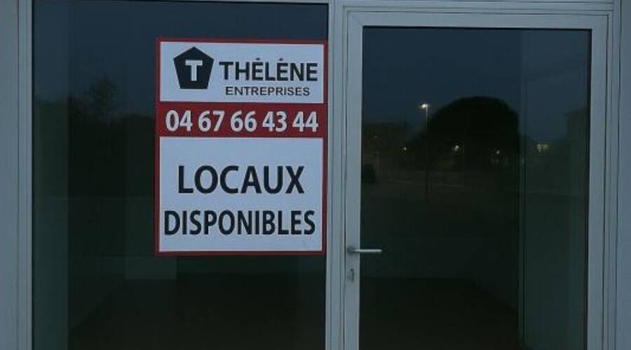 REXIM - Local d'activités - Hérault - Mauguio - 3