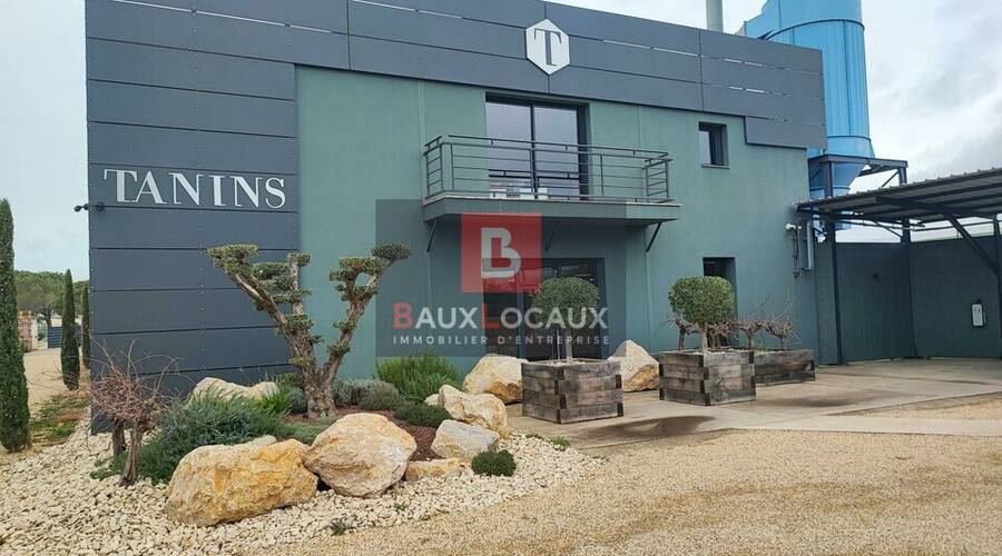 REXIM - Local d'activités - Bouches-du-Rhône - Arles - 1
