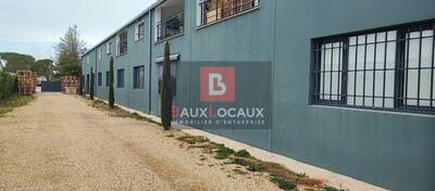 REXIM - Local d'activités - Bouches-du-Rhône - Arles - 7