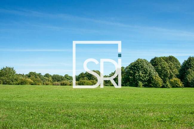 REXIM - Terrain - Allier - Vichy - 1