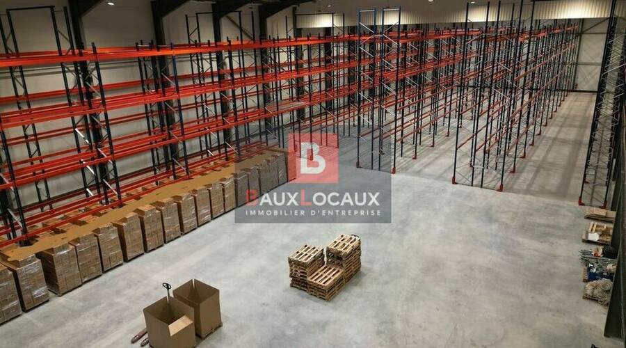 REXIM - Entrepôt - Gard - Vauvert - 4