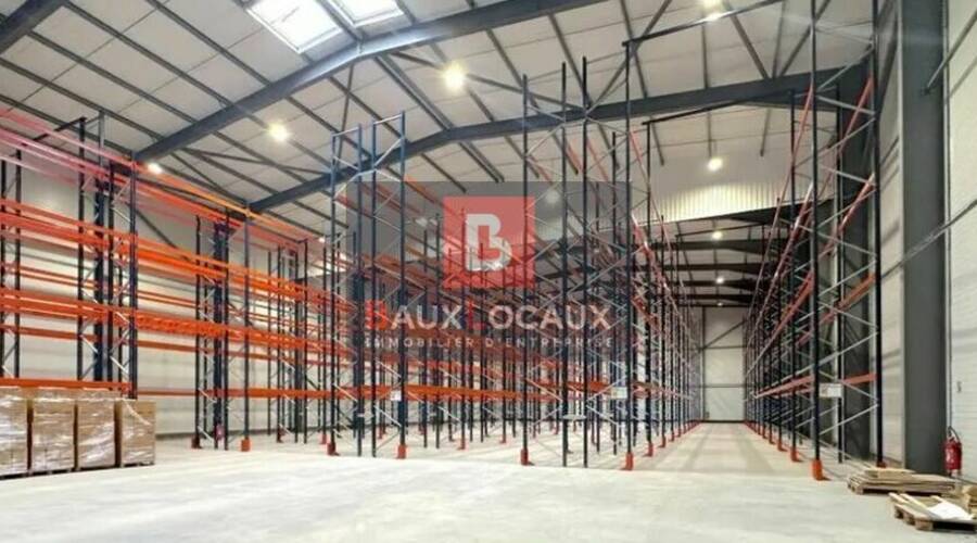 REXIM - Entrepôt - Gard - Vauvert - 5