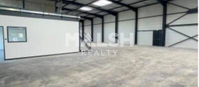 REXIM - Local d'activités - Rhône - Décines-Charpieu - 2