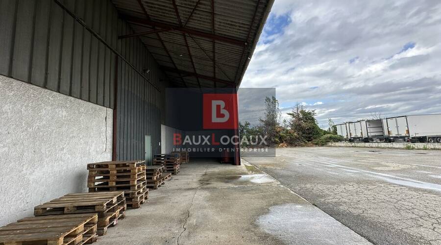 REXIM - Local d'activités - Bouches-du-Rhône - Mollégès - 10