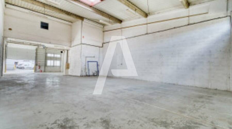 REXIM - Local d'activités - Vitry-sur-Seine - 4