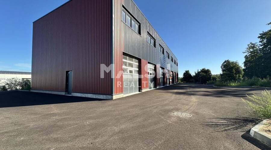 REXIM - Local d'activités - Ain - Montmerle-sur-Saône - 4