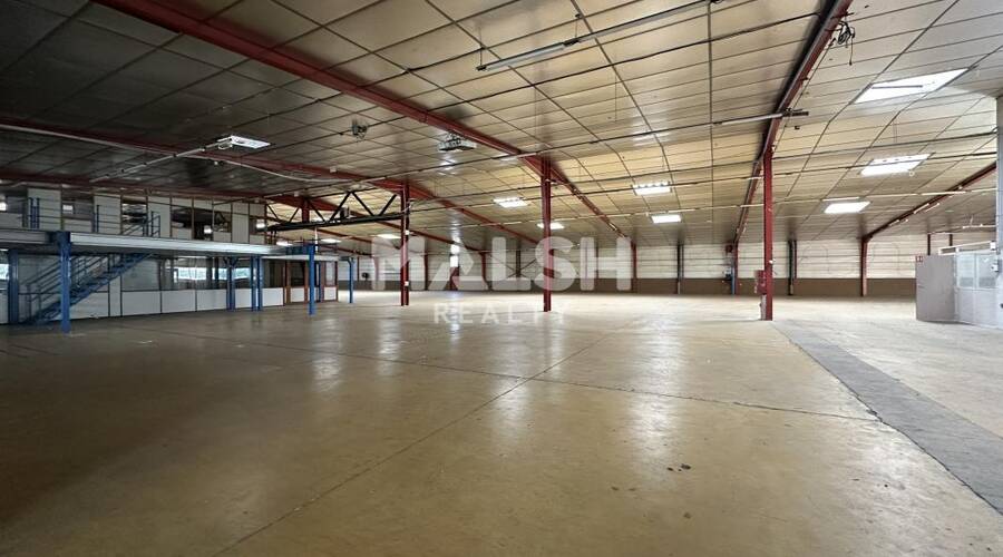 REXIM - Local d'activités - Rhône - Rillieux-la-Pape - 9