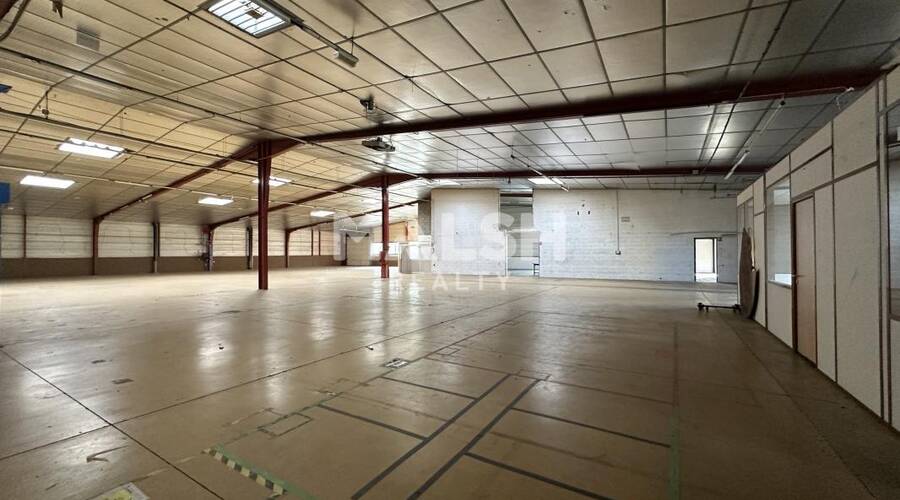 REXIM - Local d'activités - Rhône - Rillieux-la-Pape - 1