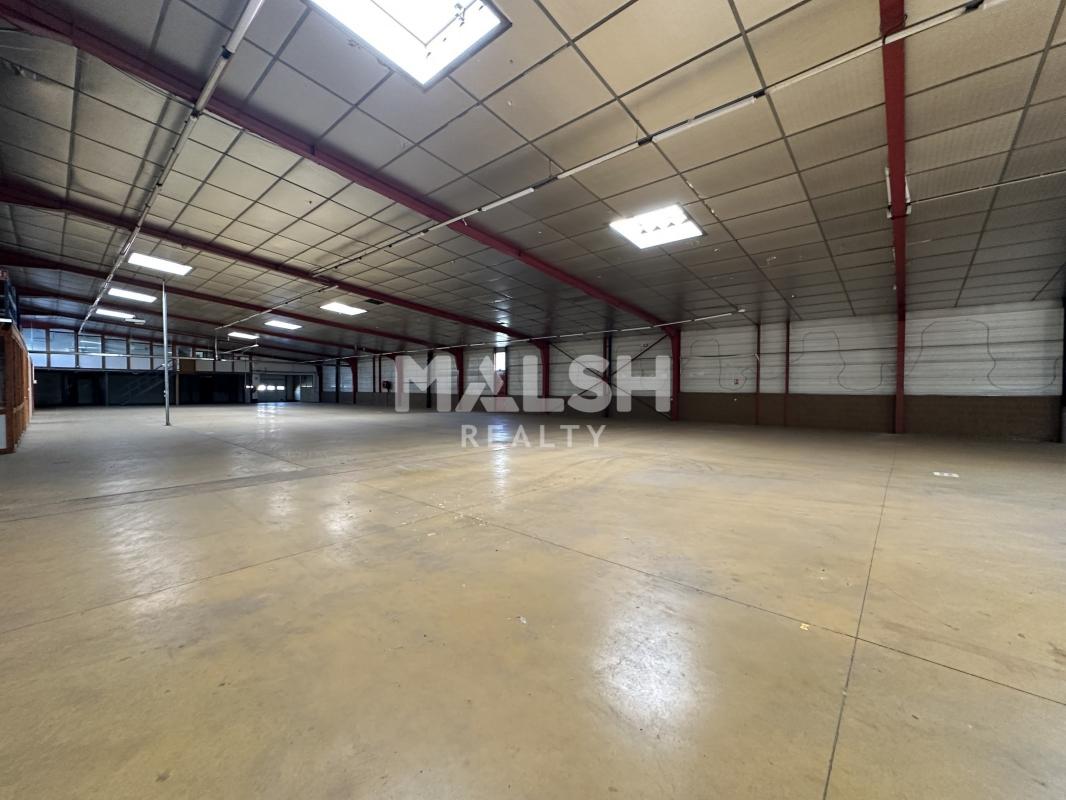 REXIM - Local d'activités - Rhône - Rillieux-la-Pape - 3