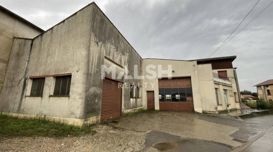 REXIM - Local d'activités - Ain - Miribel - 7