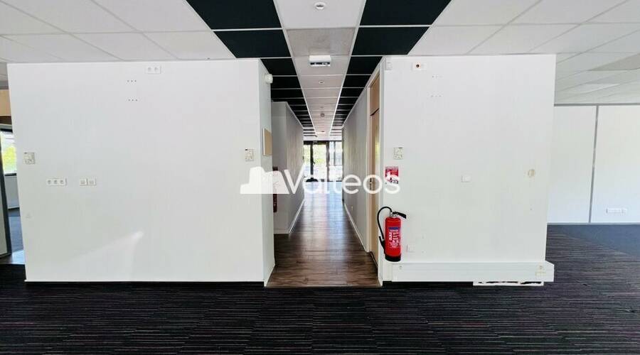 REXIM - Bureau - Haute-Garonne - Toulouse - 4