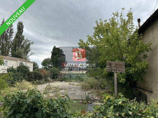 REXIM - Local d'activités - Bouches-du-Rhône - Saint-Andiol - 1