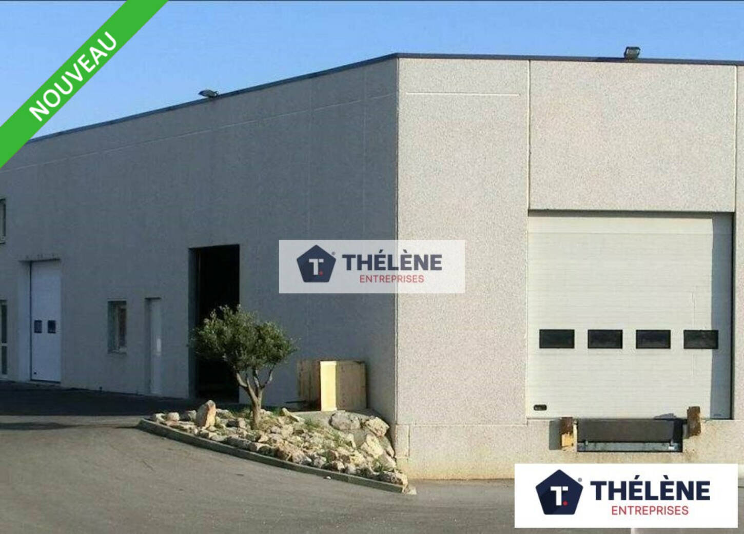 REXIM - Local d'activités - Hérault - Saint-Jean-de-Védas - 2