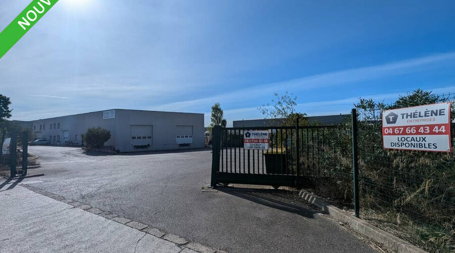 REXIM - Local d'activités - Hérault - Saint-Jean-de-Védas - 3