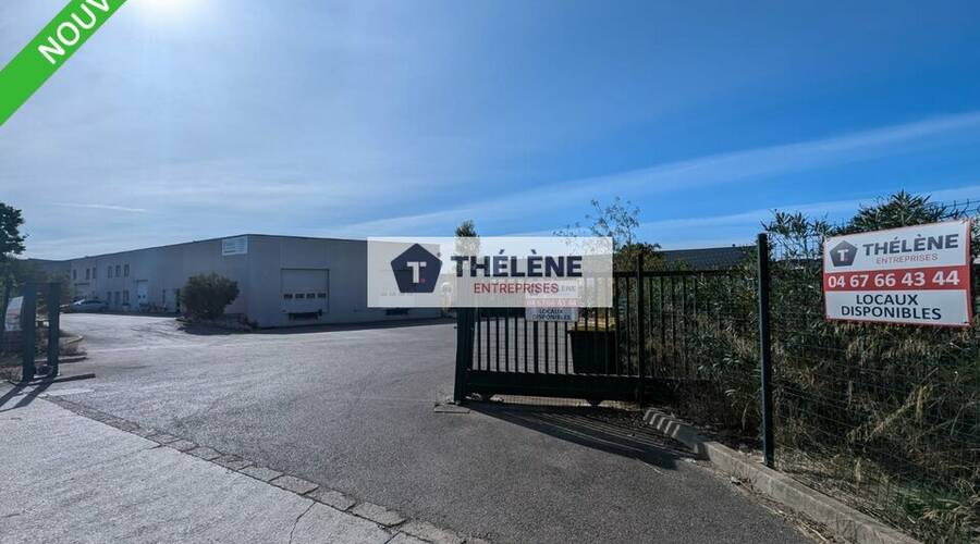 REXIM - Local d'activités - Hérault - Saint-Jean-de-Védas - 3