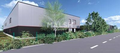 REXIM - Local d'activités - Ain - Savigneux - 4