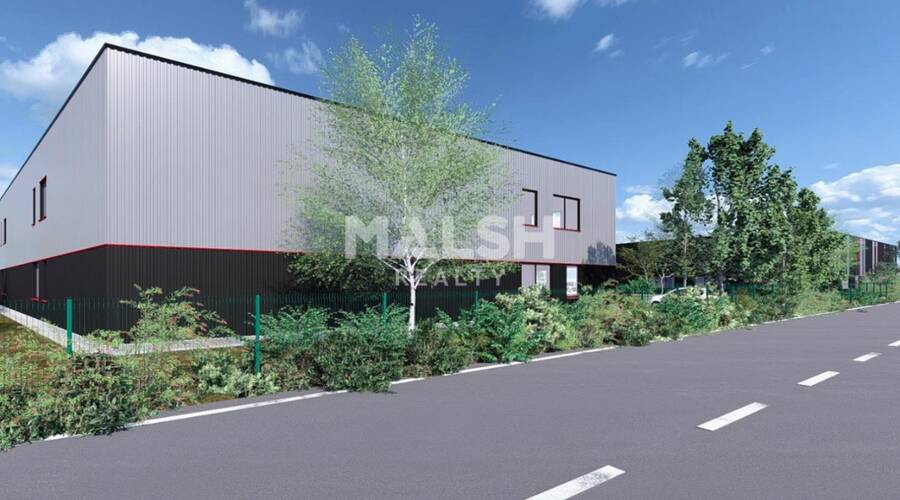 REXIM - Local d'activités - Ain - Savigneux - 4