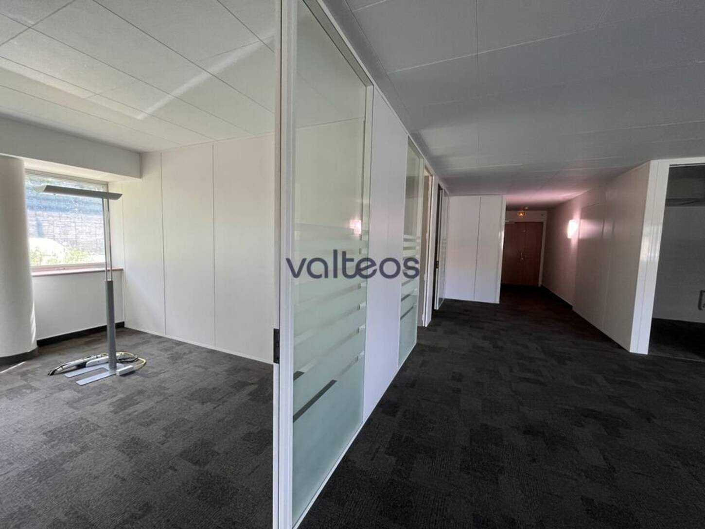 REXIM - Bureau - Haute-Garonne - Balma - 2