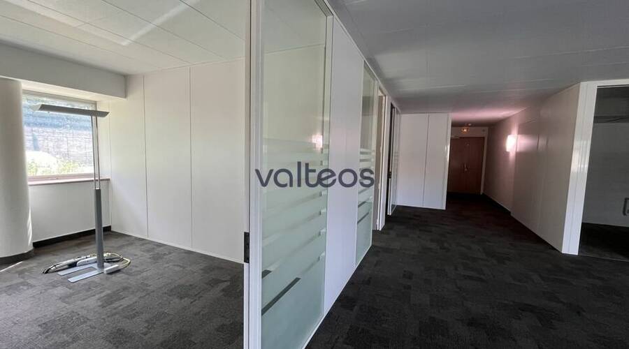 REXIM - Bureau - Haute-Garonne - Balma - 2