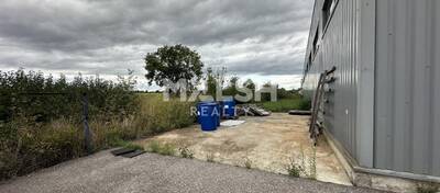 REXIM - Local d'activités - Ain - Saint-André-de-Corcy - 12